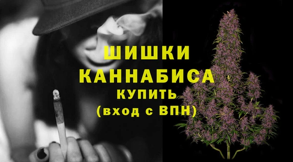 гашик Балахна
