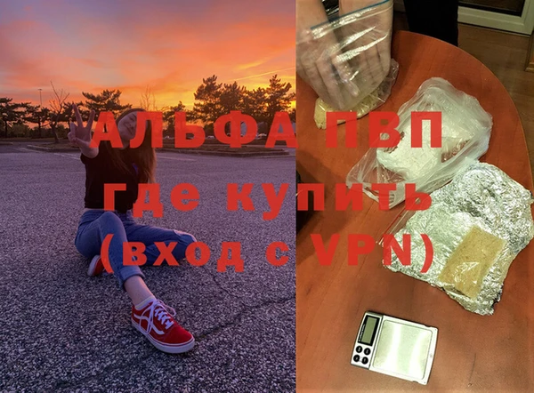 гашик Балахна