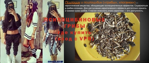 гашик Балахна