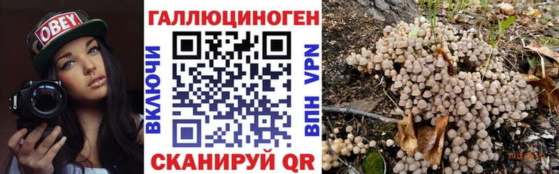 Галлюциногенные грибы Cubensis  наркота  Закаменск 
